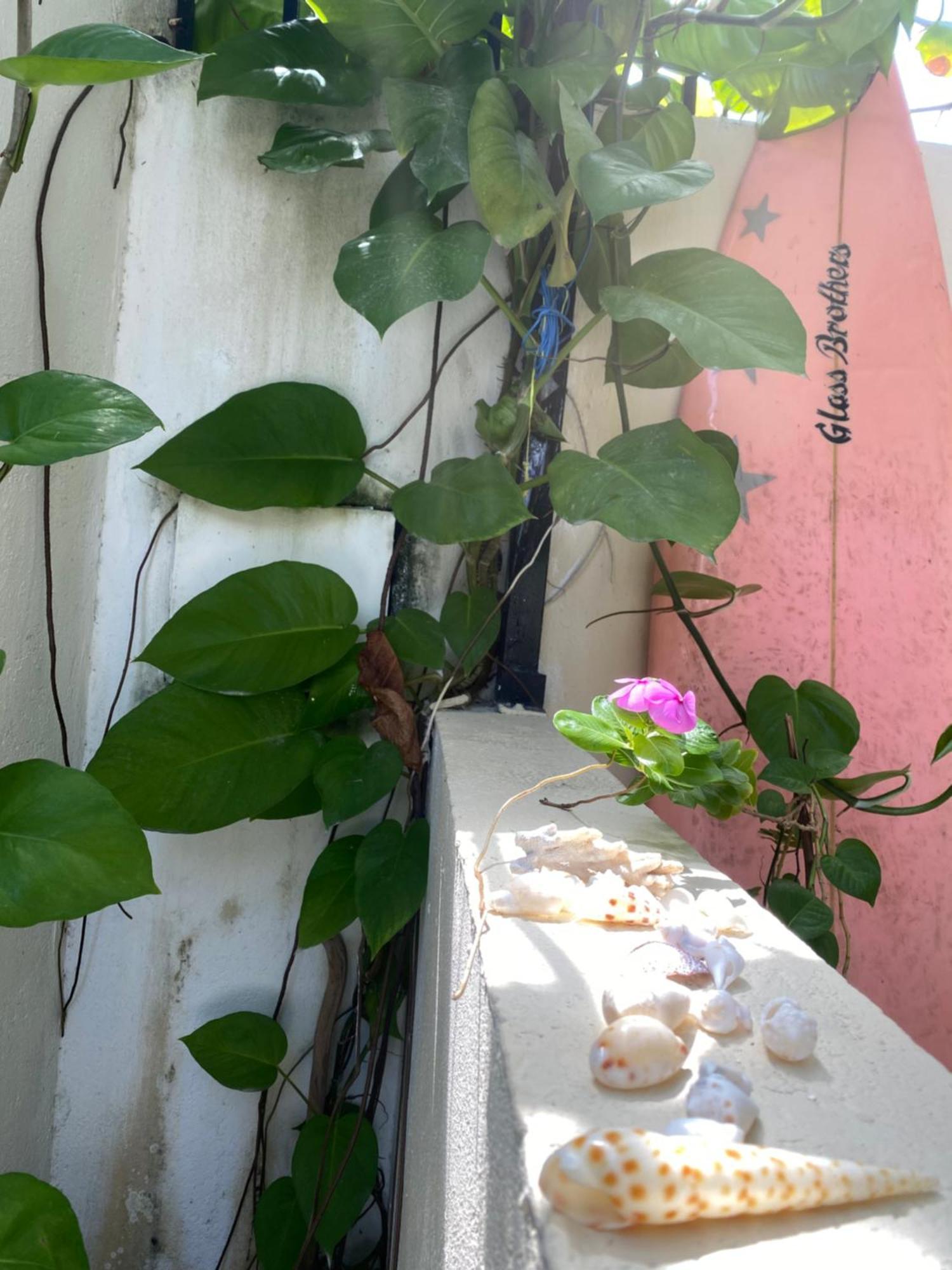 Maavaharu Guest House Himmafushi Εξωτερικό φωτογραφία