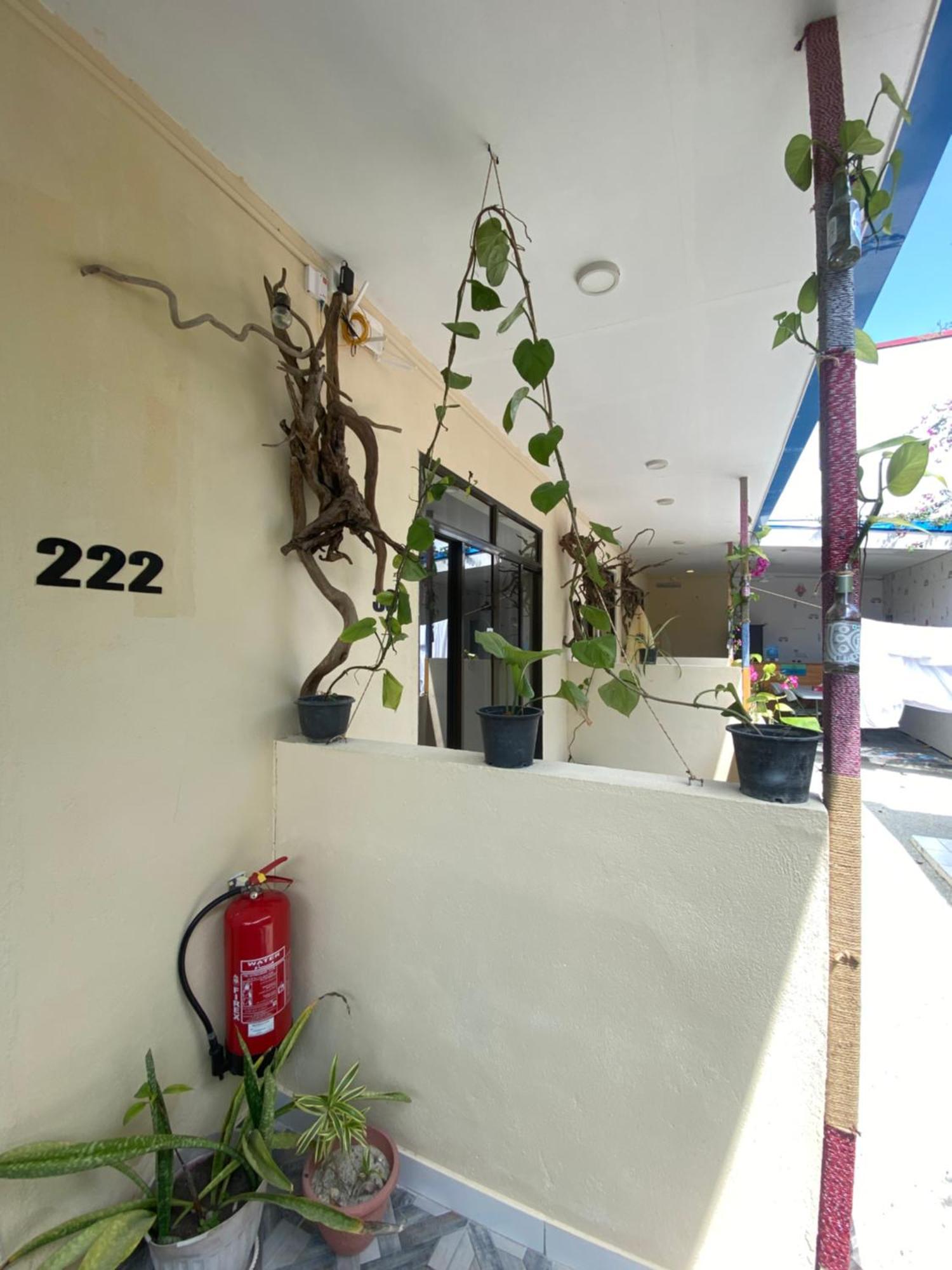 Maavaharu Guest House Himmafushi Εξωτερικό φωτογραφία
